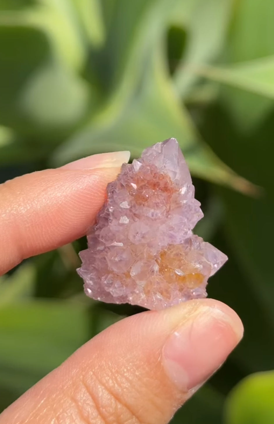 
                  
                    RESERVED LISTING - rae_in_wonderland
                  
                