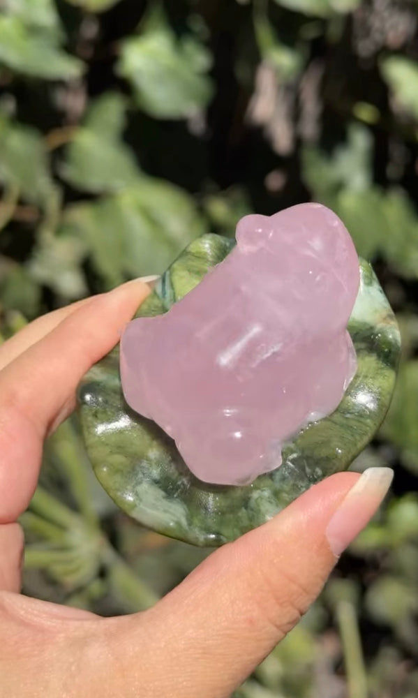 
                  
                    RESERVED LISTING - leftoverlexapro 4/4
                  
                