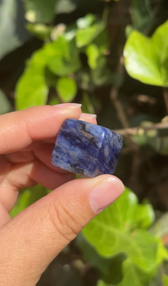 
                  
                    RESERVED LISTING - erinfetz
                  
                