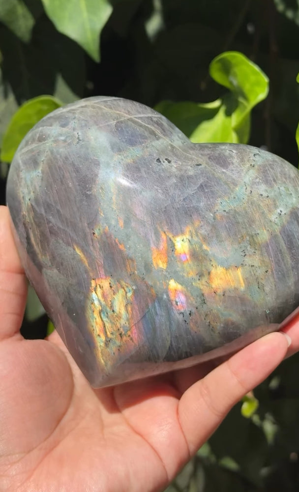 
                  
                    RESERVED LISTING - catniss_evergreen
                  
                