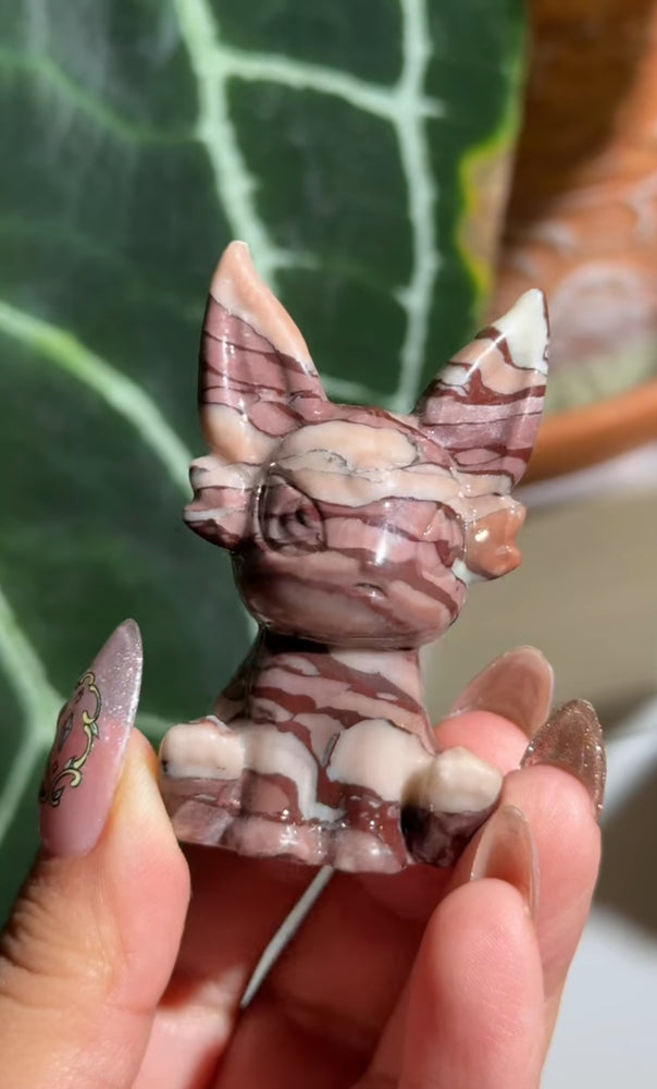 
                  
                    RESERVED LISTING - catniss_evergreen
                  
                