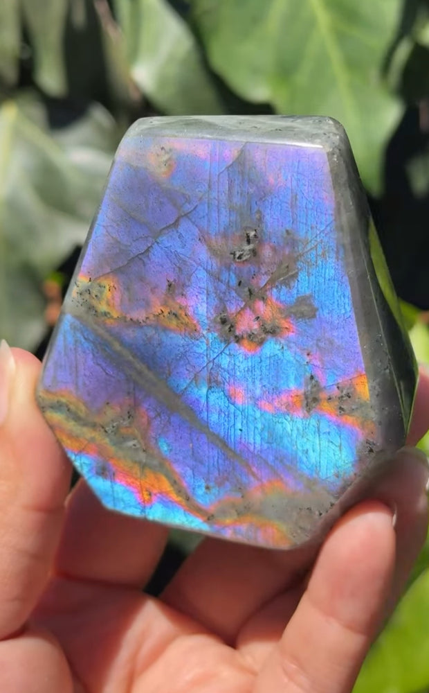 
                  
                    RESERVED LISTING - catniss_evergreen
                  
                