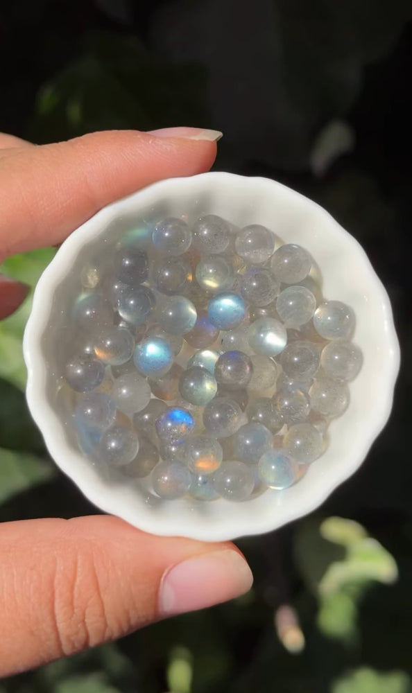 
                  
                    RESERVED LISTING - ghostofgabby
                  
                