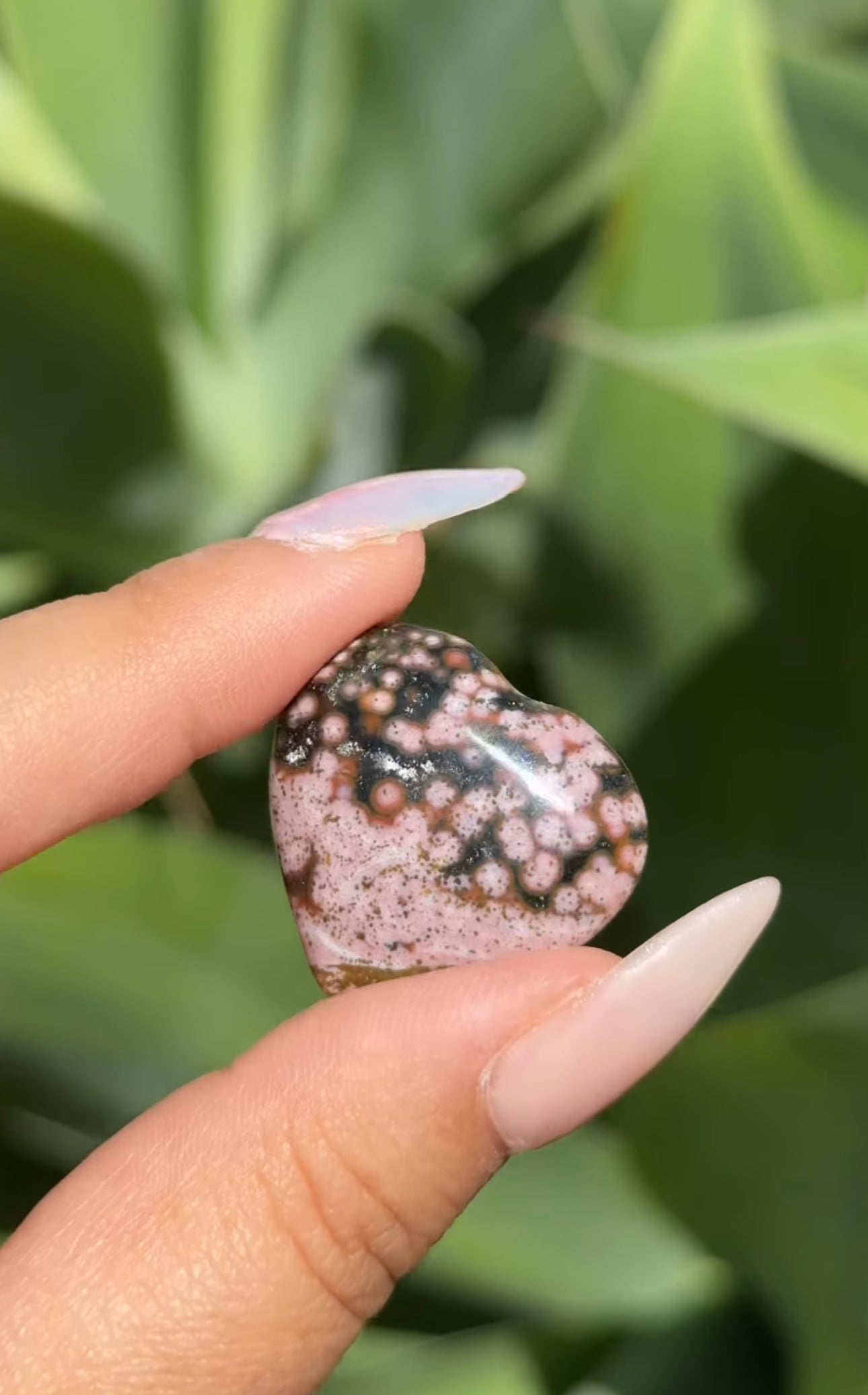 
                  
                    RESERVED LISTING - jval
                  
                