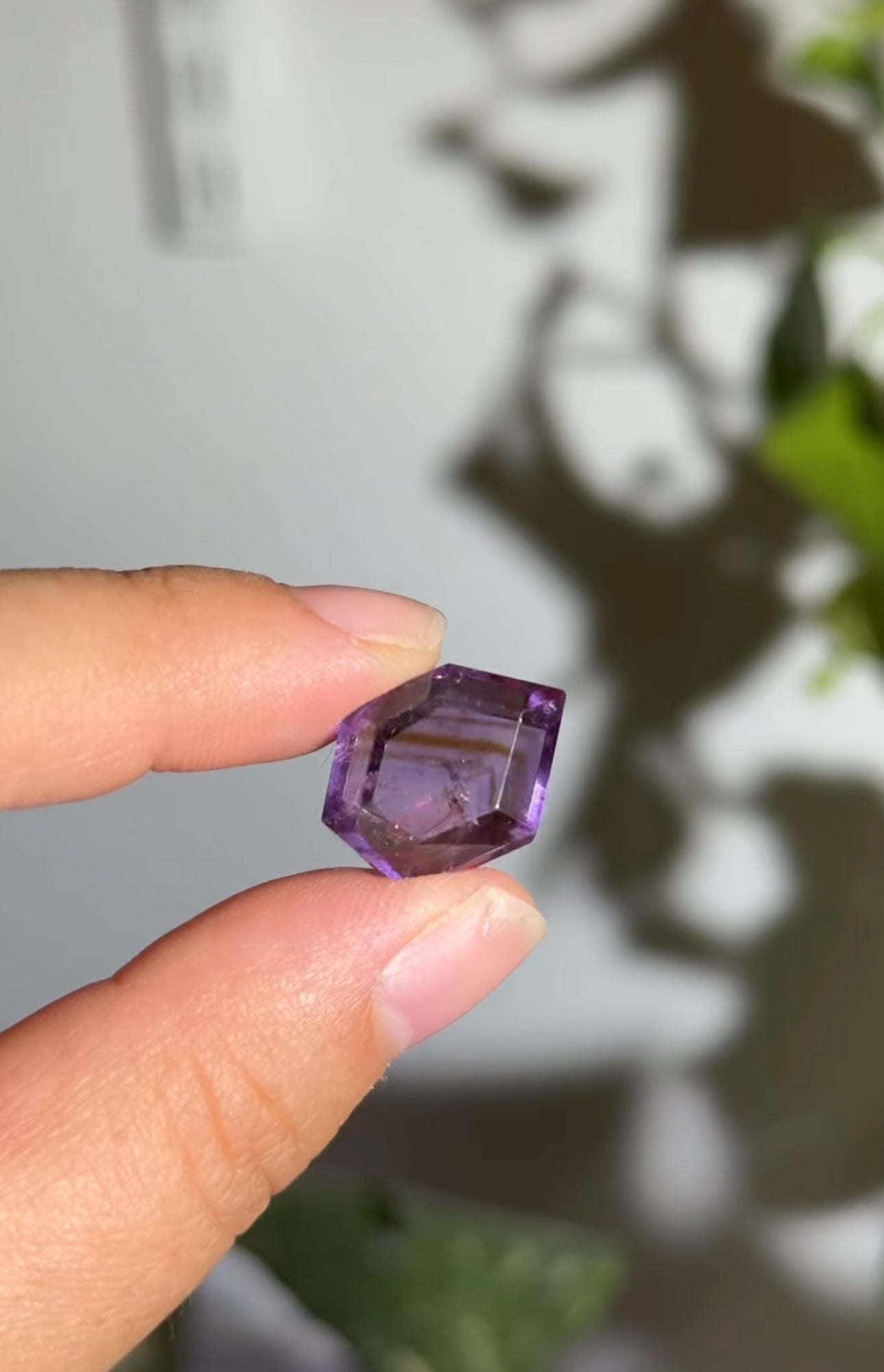 
                  
                    RESERVED LISTING - afauxghost
                  
                