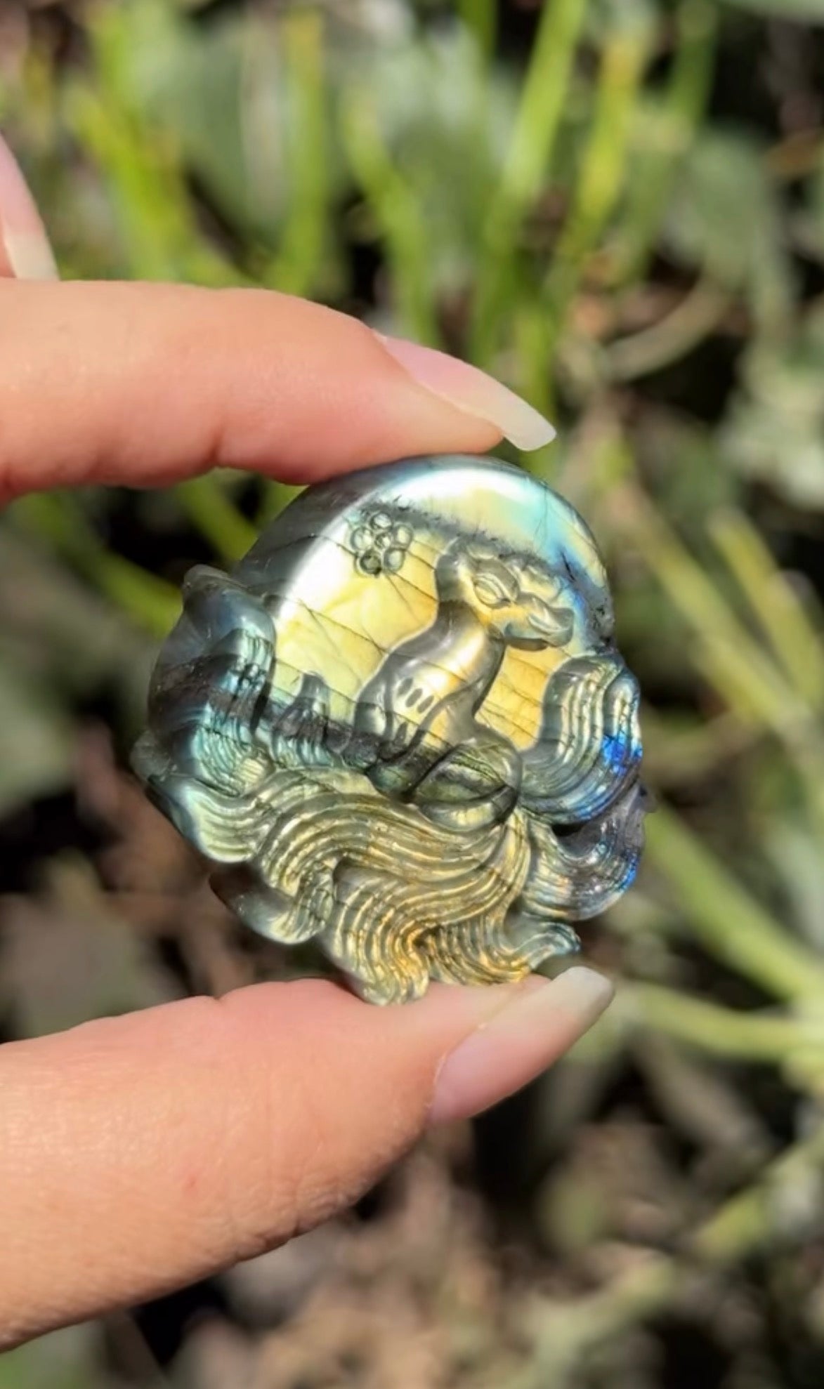 
                  
                    RESERVED LISTING - melty82
                  
                