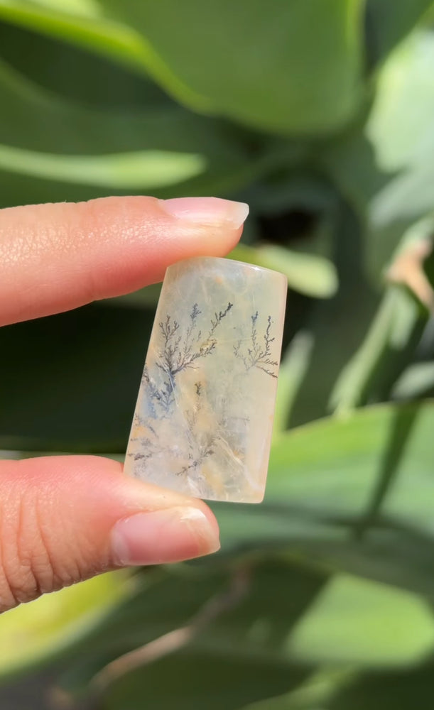 
                  
                    RESERVED LISTING - rosenightshadow
                  
                