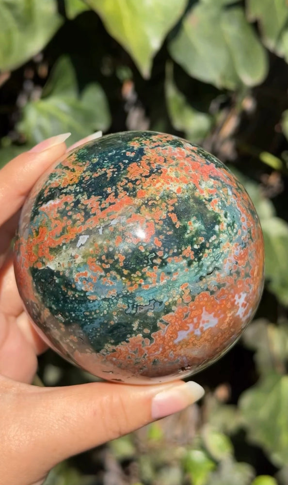 
                  
                    RESERVED LISTING - leftoverlexapro 4/4
                  
                