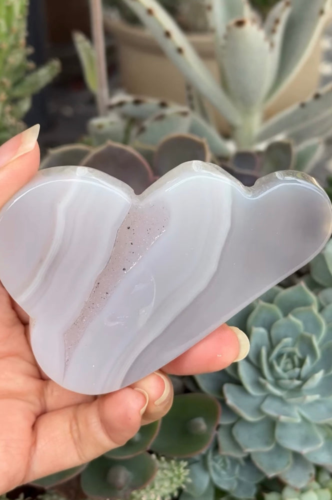 
                  
                    RESERVED LISTING - c_genesisallison87
                  
                