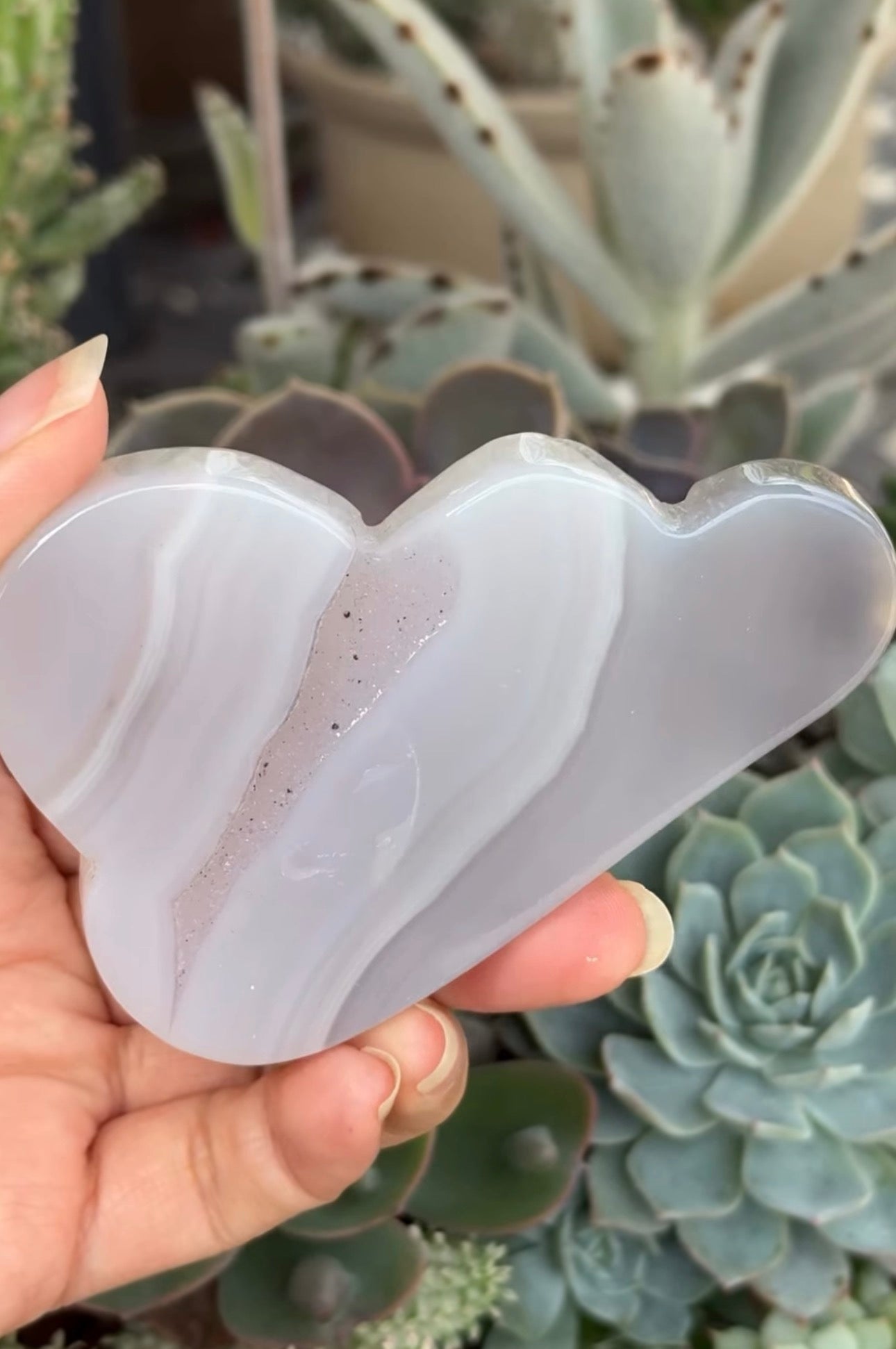 
                  
                    RESERVED LISTING - c_genesisallison87
                  
                