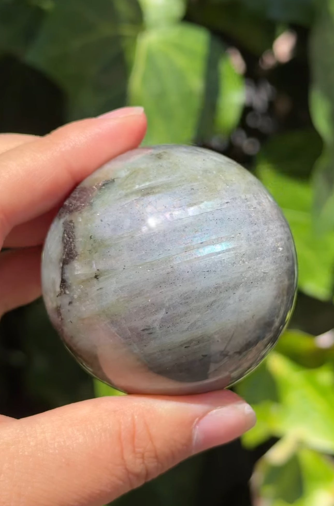 
                  
                    RESERVED LISTING - catniss_evergreen
                  
                