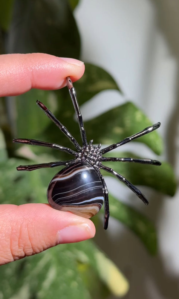 
                  
                    RESERVED LISTING - zombieboy69
                  
                