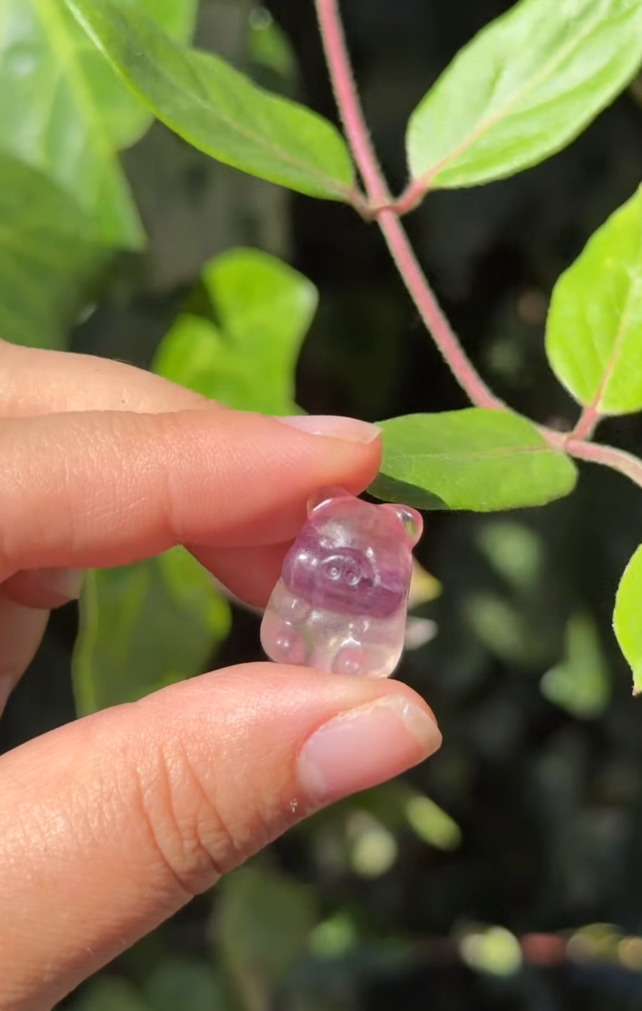 
                  
                    RESERVED LISTING - leftoverlexapro
                  
                