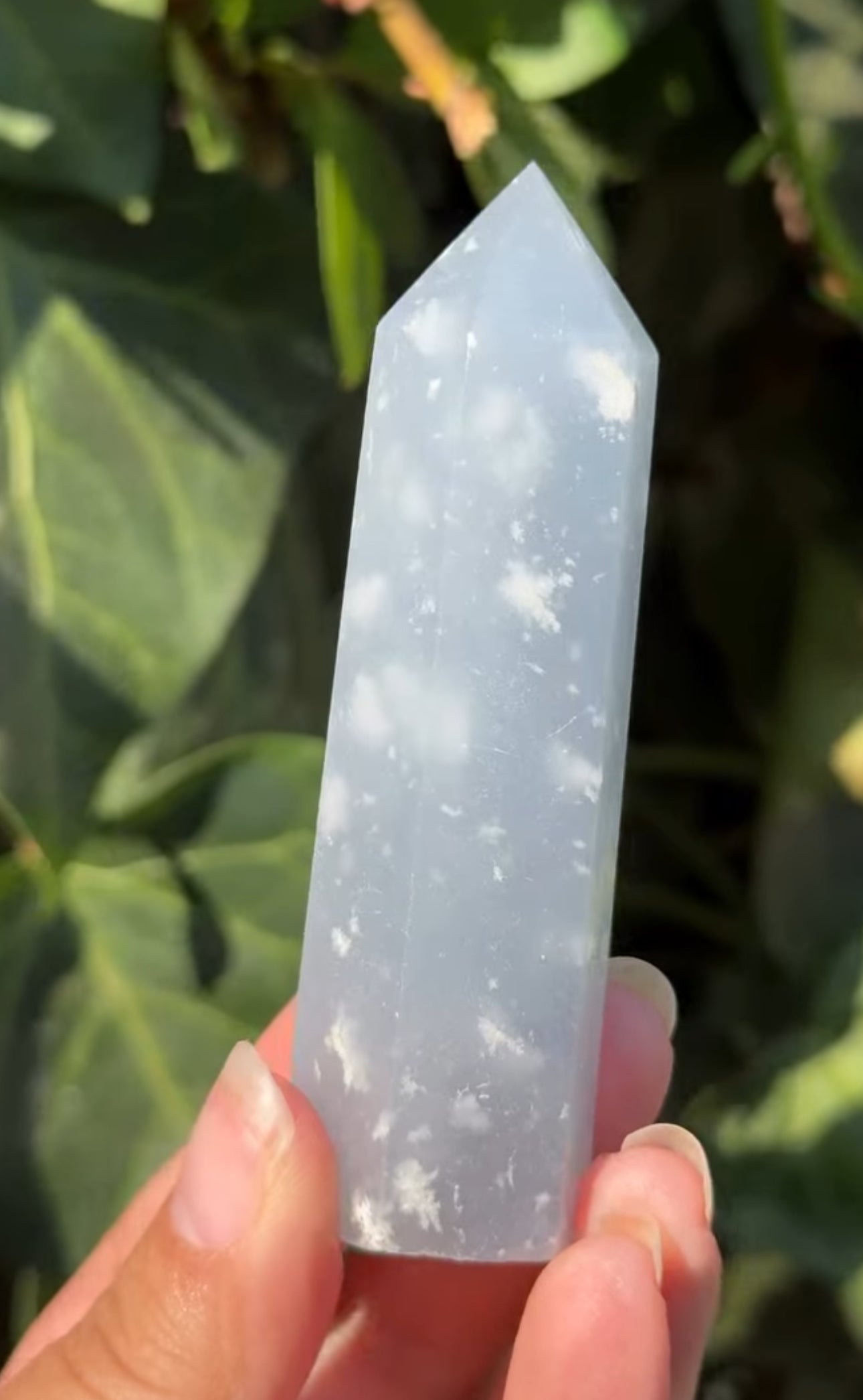 
                  
                    RESERVED LISTING - c_genesisallison87
                  
                