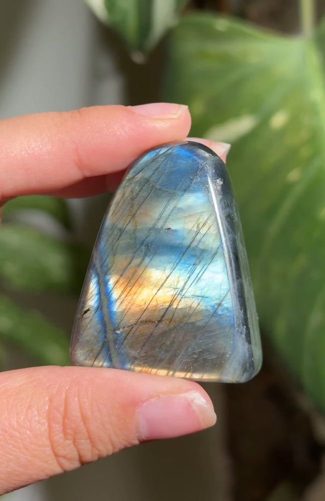 
                  
                    RESERVED LISTING - romae.aquino
                  
                