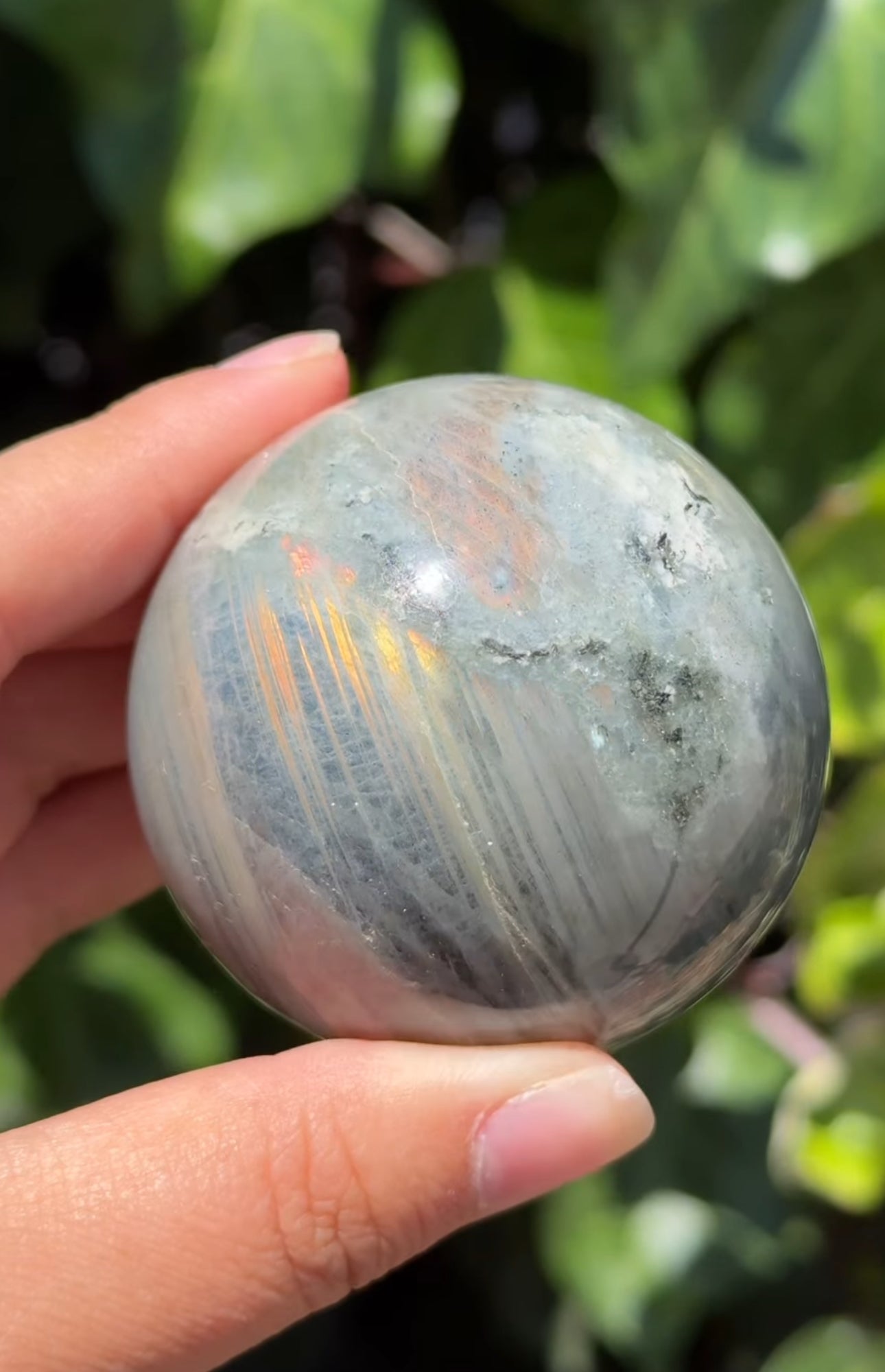 
                  
                    RESERVED LISTING - catniss_evergreen
                  
                