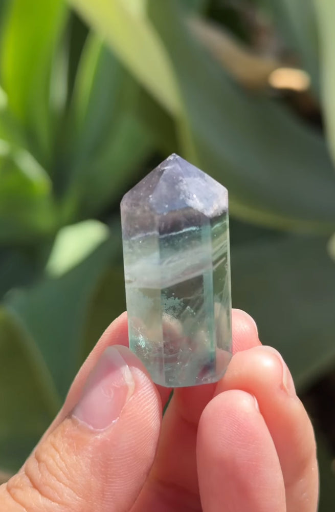 
                  
                    RESERVED LISTING - kelseyplanslife
                  
                