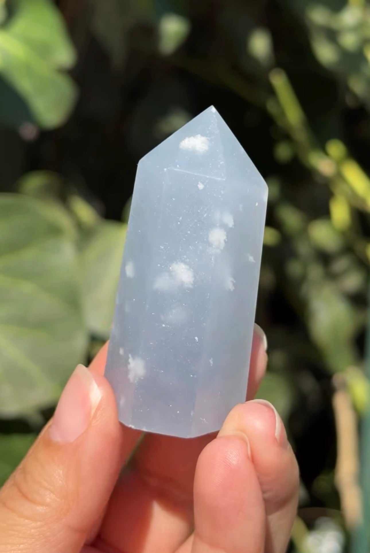 
                  
                    RESERVED LISTING - romae.aquino
                  
                