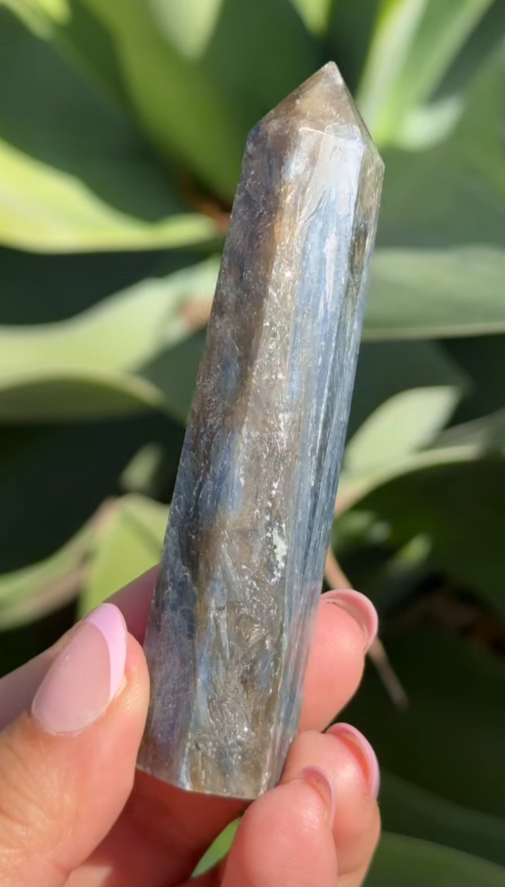 
                  
                    RESERVED LISTING - taoofraychel
                  
                