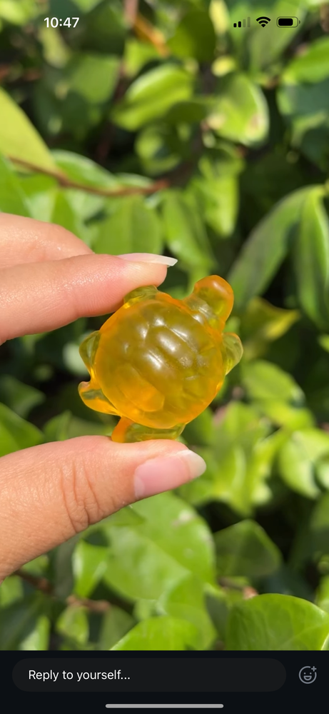 
                  
                    RESERVED LISTING - leftoverlexapro 3/4
                  
                