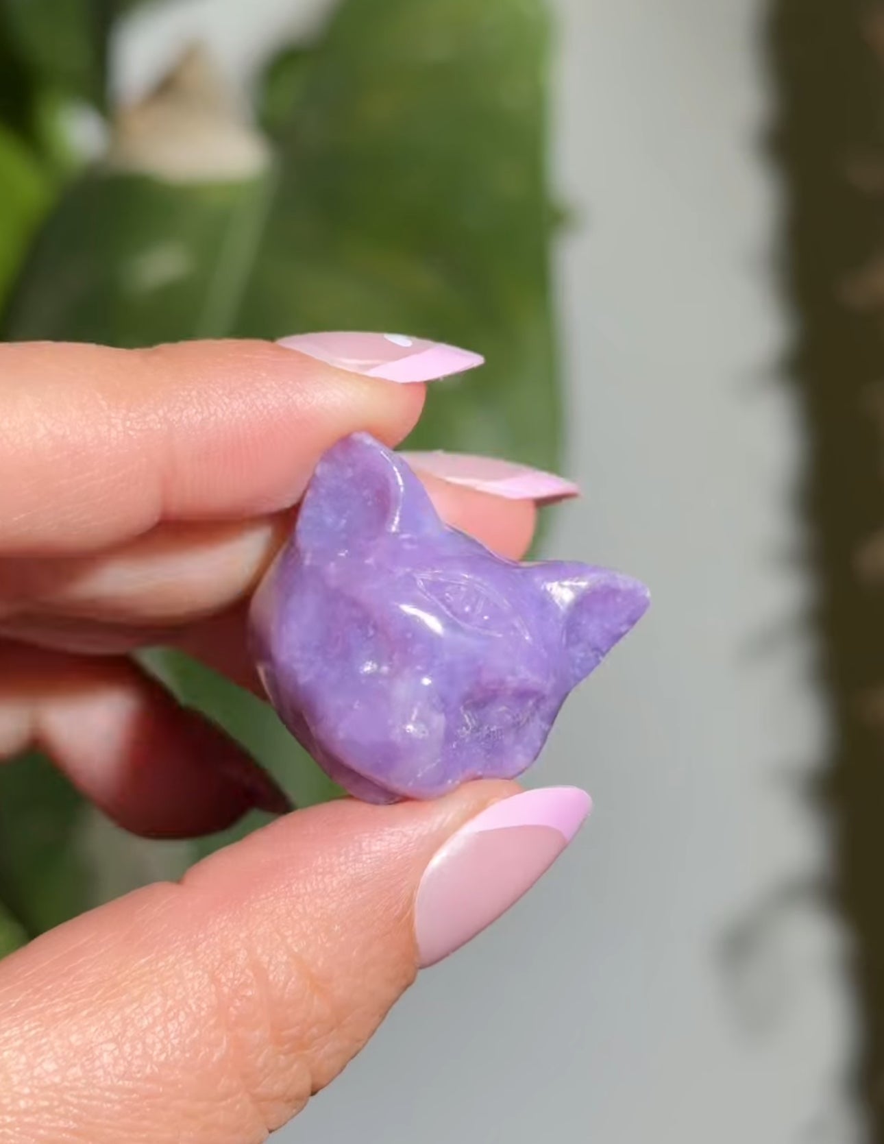 
                  
                    RESERVED LISTING - legendgirl.4ever
                  
                