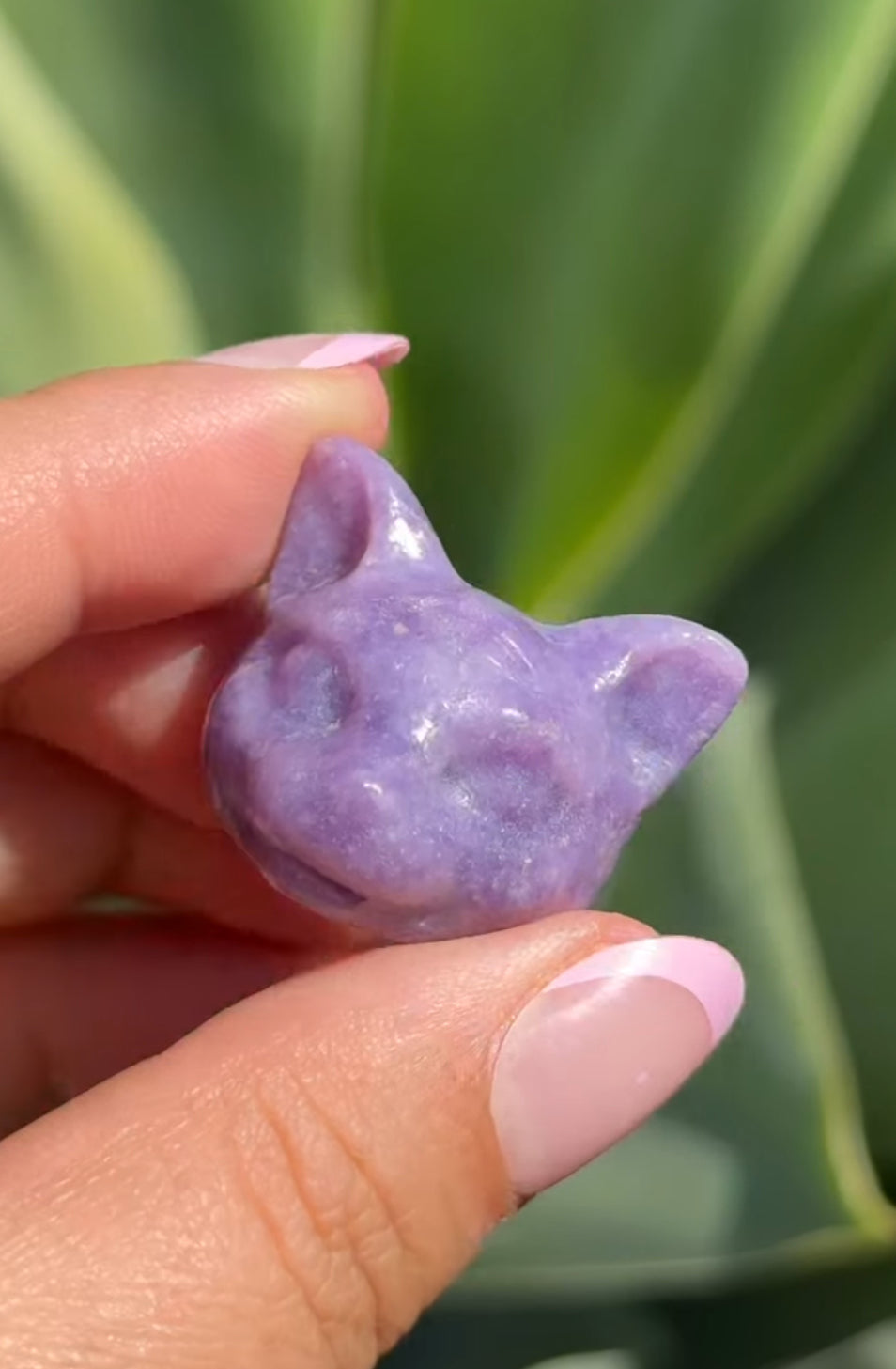 
                  
                    RESERVED LISTING - legendgirl.4ever
                  
                