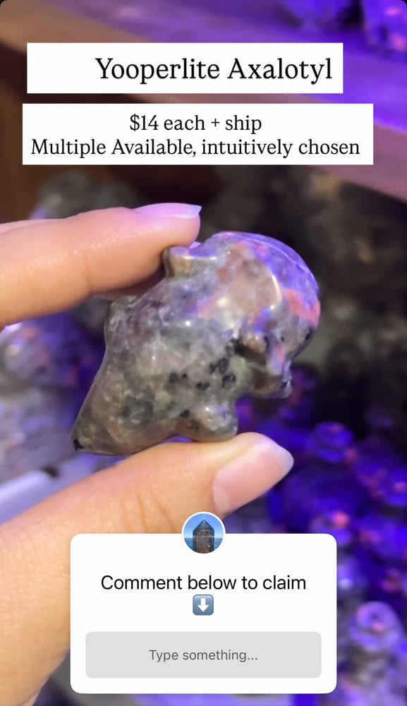 
                  
                    RESERVED LISTING - erinfetz
                  
                