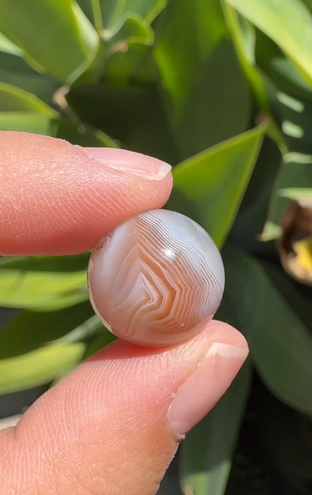 
                  
                    RESERVED LISTING - im_just_walkin_here
                  
                