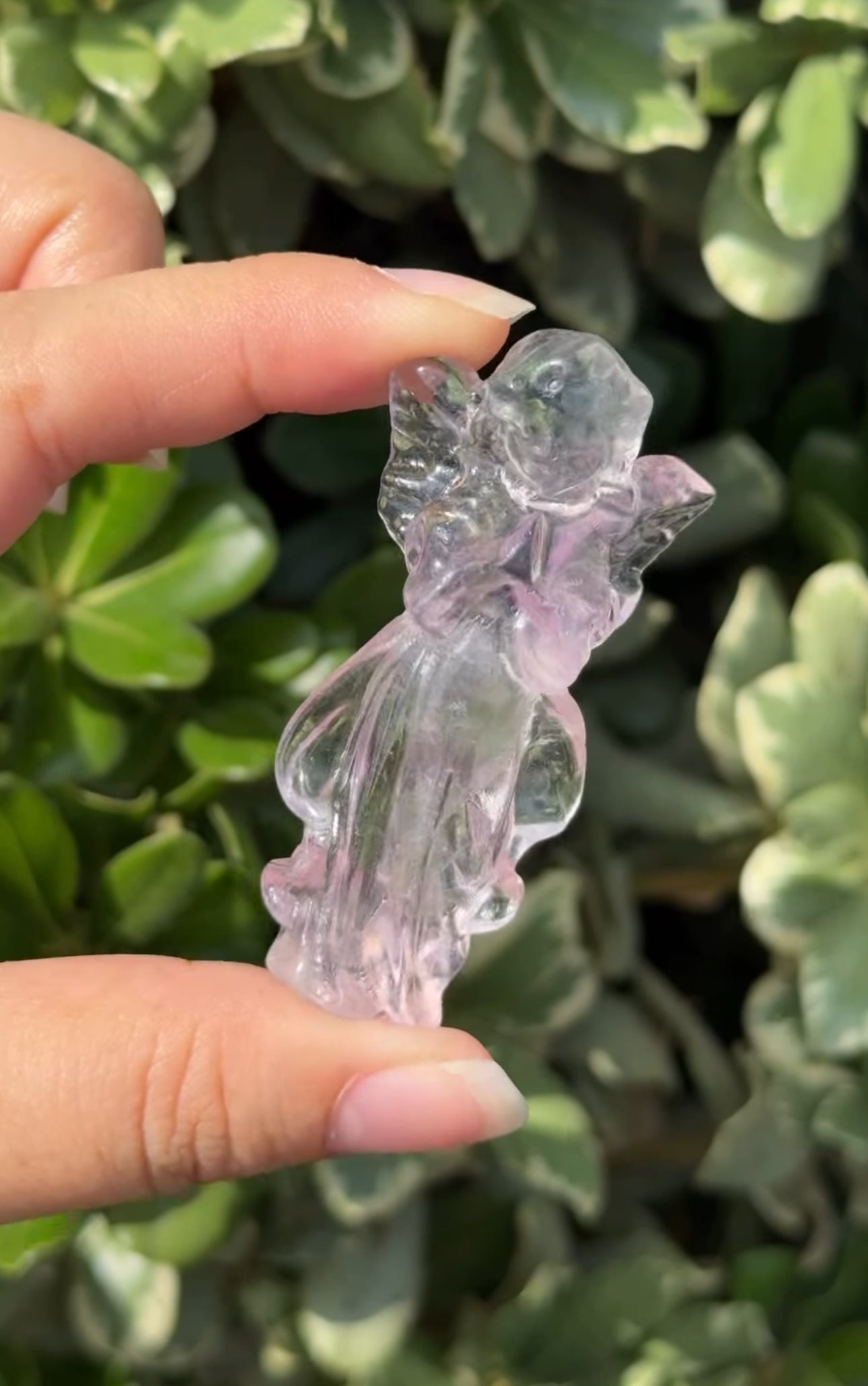 
                  
                    RESERVED LISTING - legendgirl.4ever
                  
                