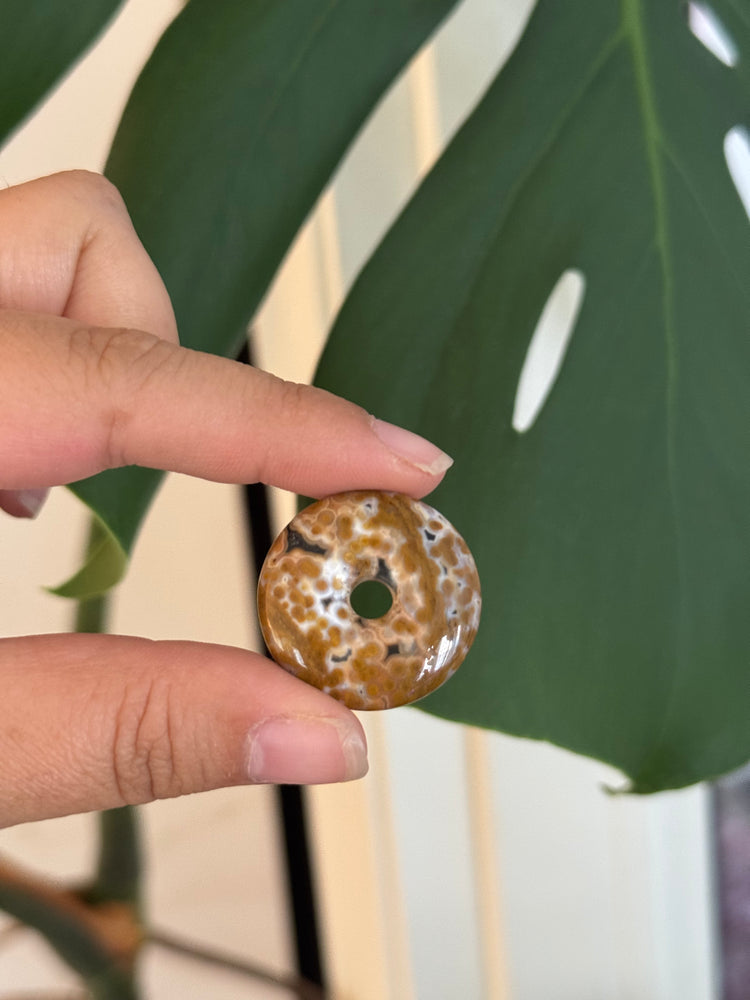 
                  
                    RESERVED LISTING - publichealthplanter
                  
                