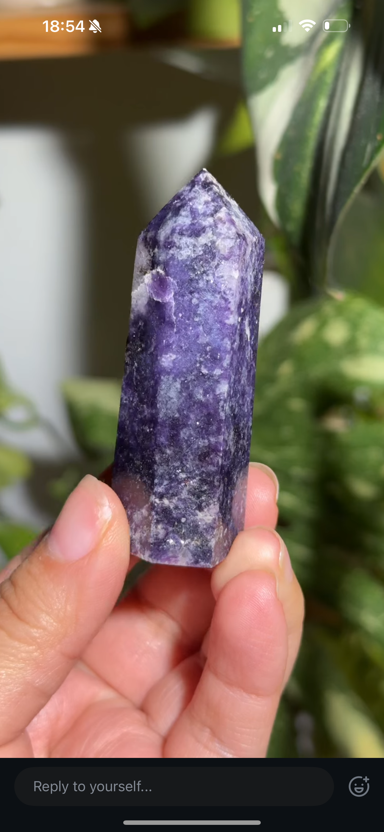 
                  
                    RESERVED LISTING - im_just_walkin_here
                  
                