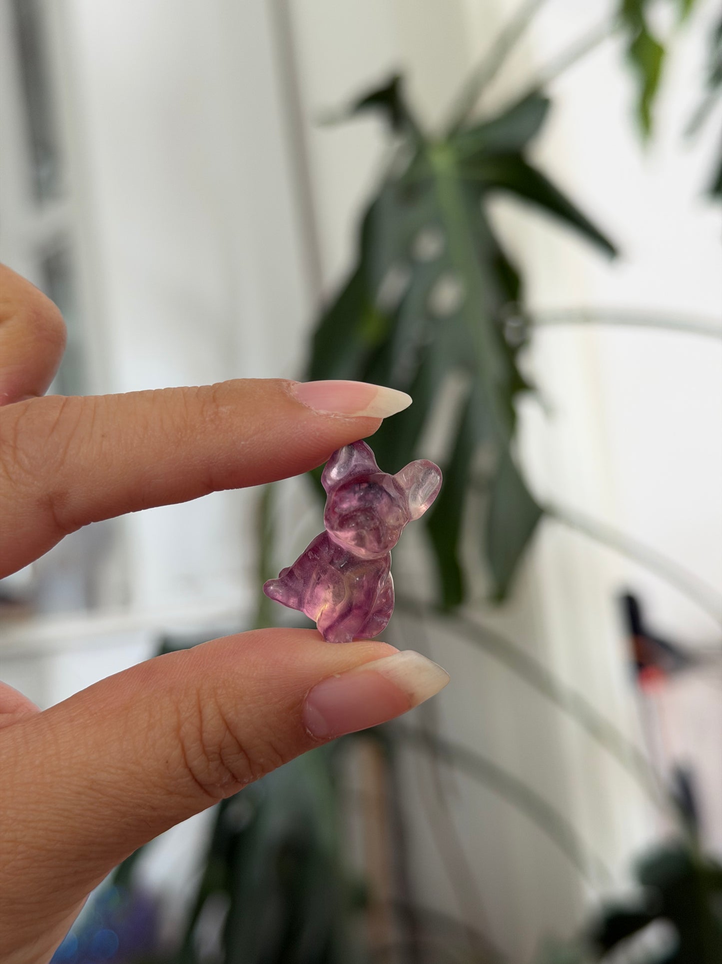 
                  
                    RESERVED LISTING - melty82
                  
                