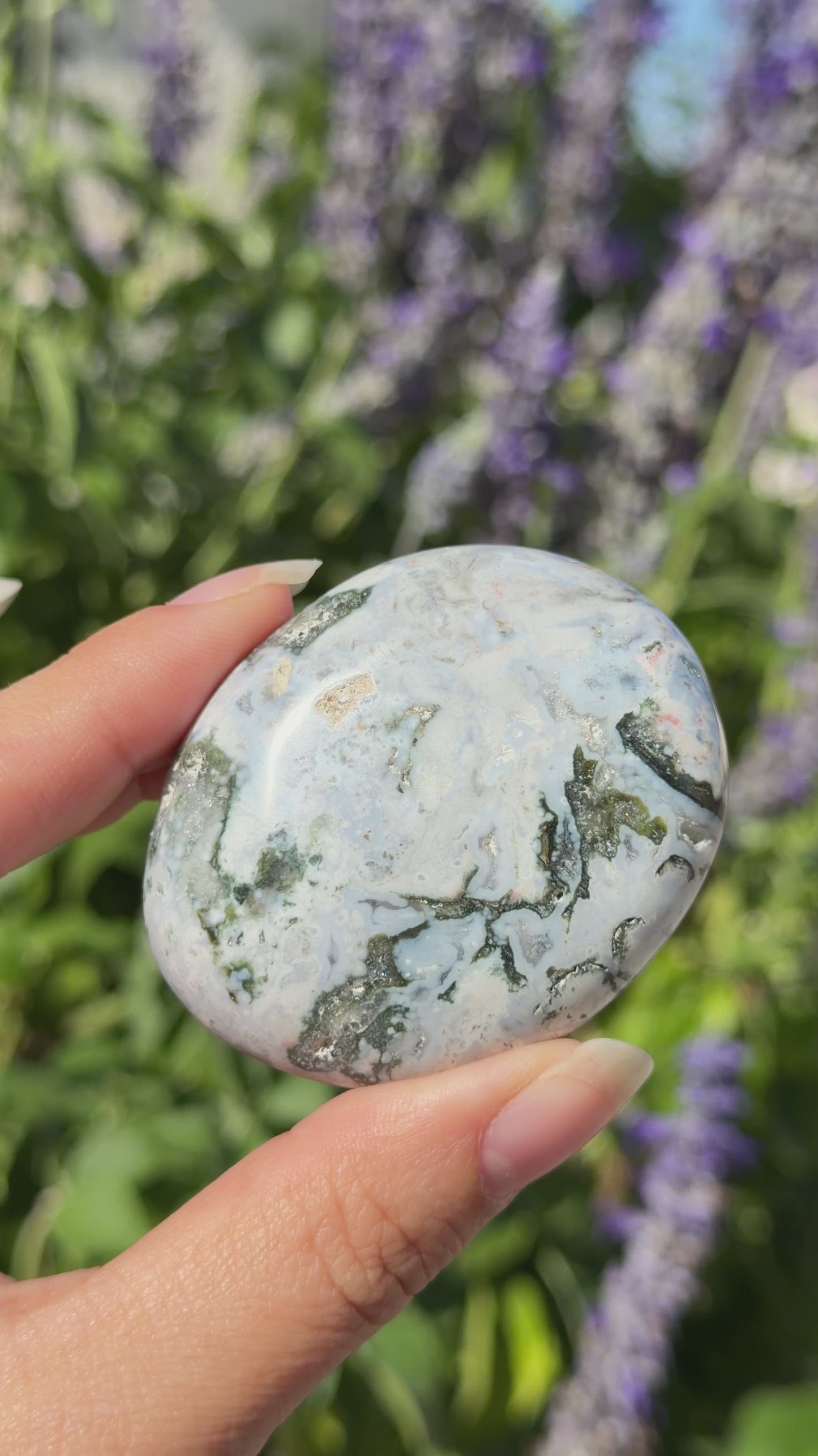 
                  
                    Load and play video in Gallery viewer, Ocean Jasper Palm Stone
                  
                