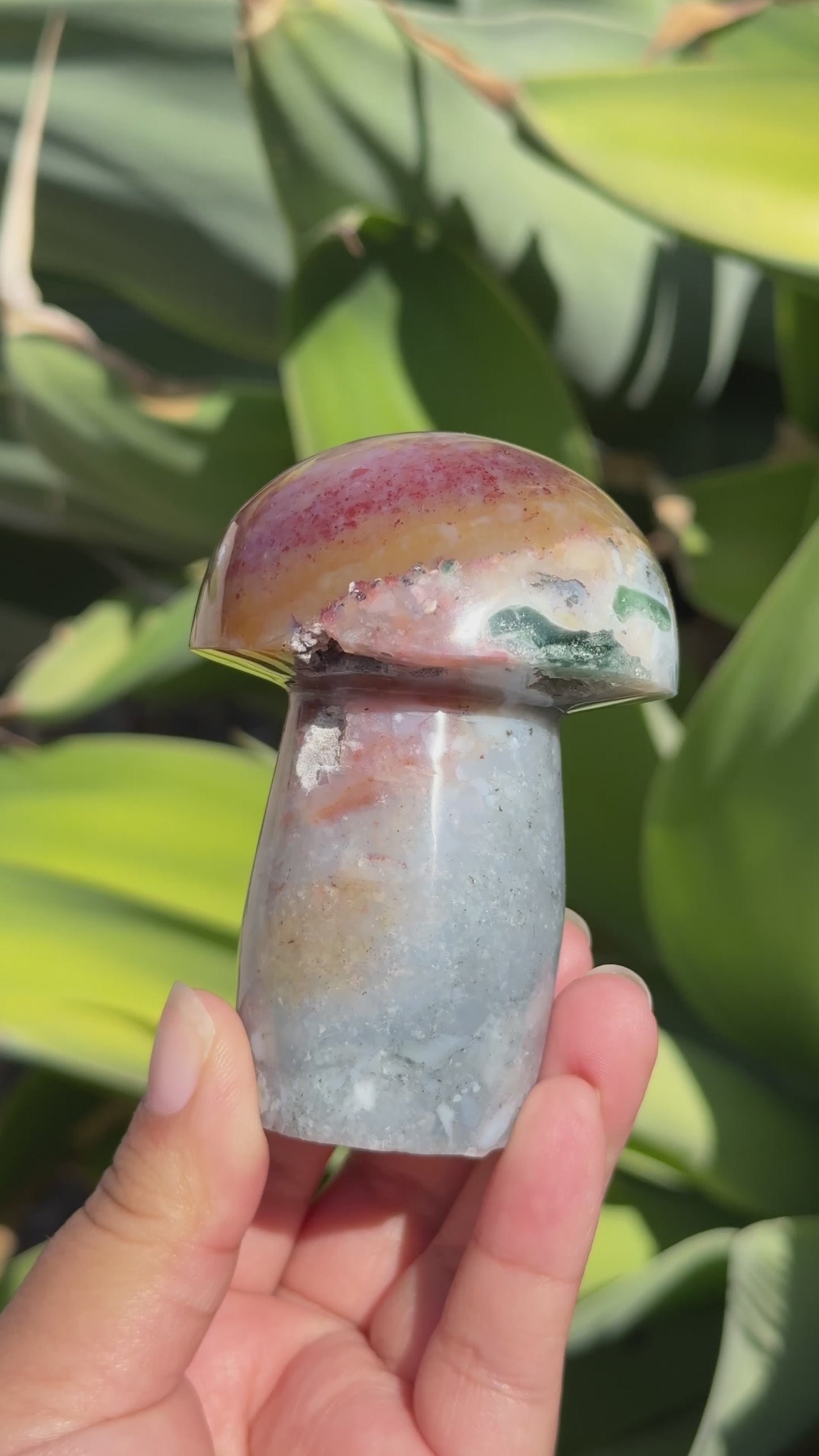 
                  
                    Load and play video in Gallery viewer, Ocean Jasper Mushroom
                  
                