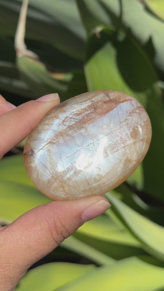 
                  
                    Load and play video in Gallery viewer, Peach Moonstone Palm Stone
                  
                