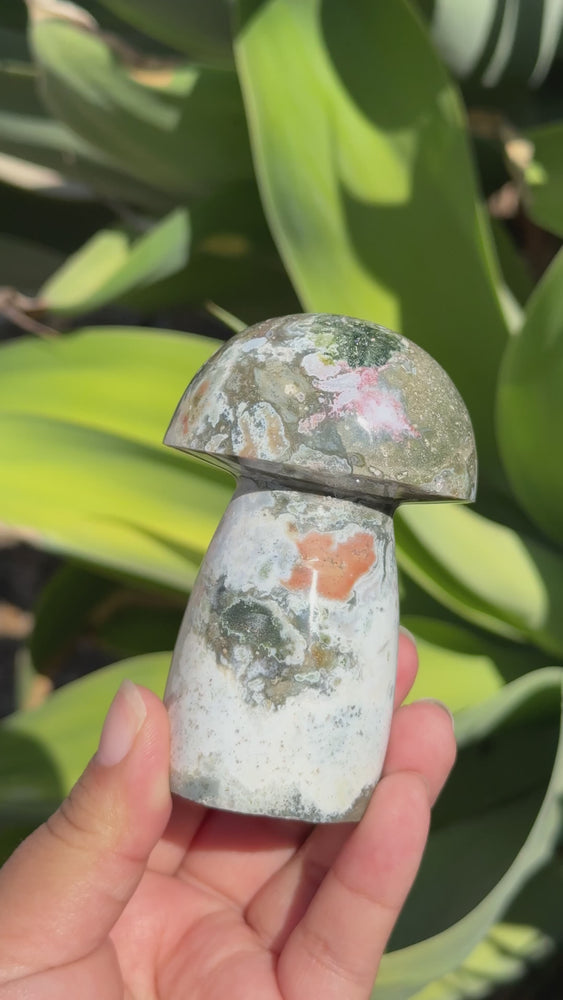 
                  
                    Load and play video in Gallery viewer, Ocean Jasper Mushroom
                  
                