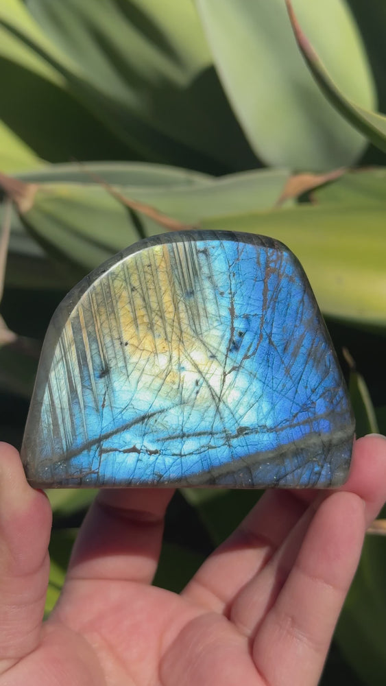 
                  
                    Load and play video in Gallery viewer, Labradorite Freeform
                  
                