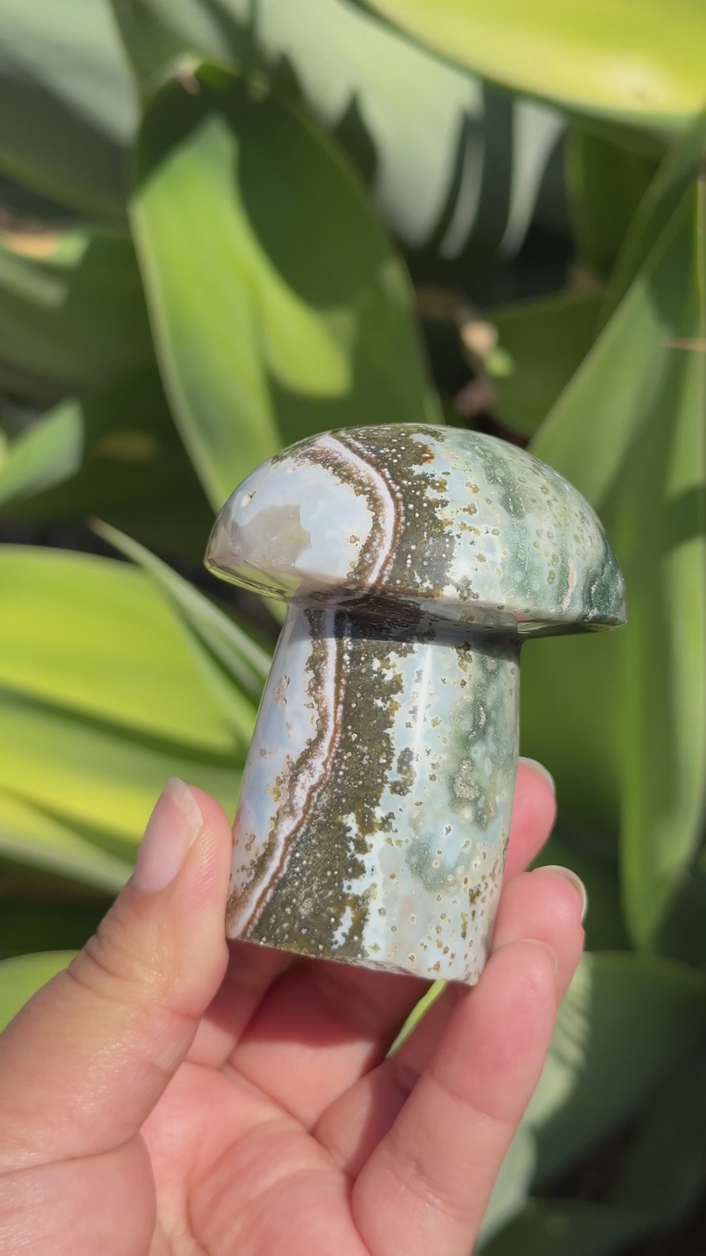 
                  
                    Load and play video in Gallery viewer, Ocean Jasper Mushroom
                  
                