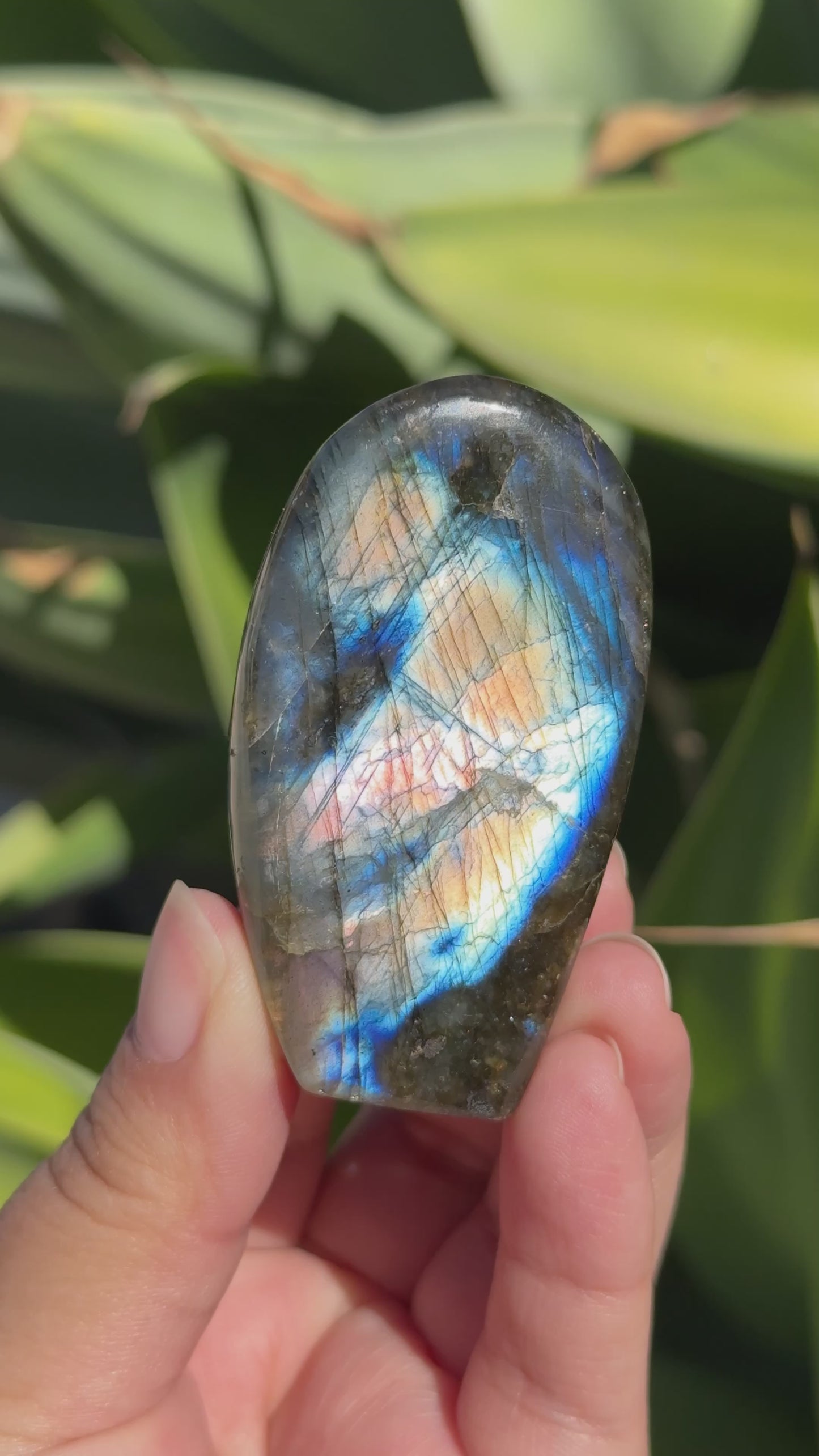 
                  
                    Load and play video in Gallery viewer, Labradorite Freeform
                  
                