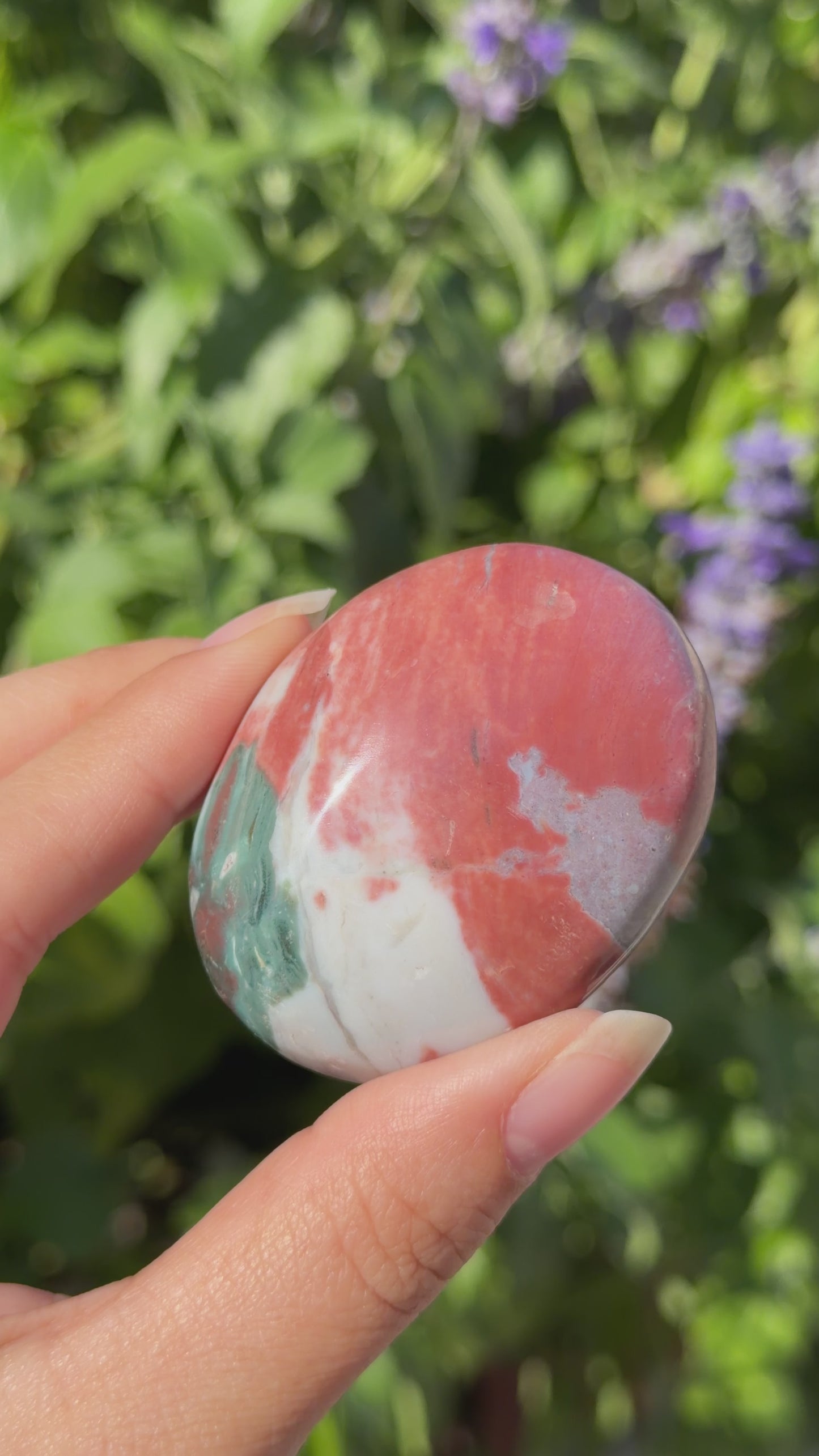 
                  
                    Load and play video in Gallery viewer, Ocean Jasper Palm Stone
                  
                