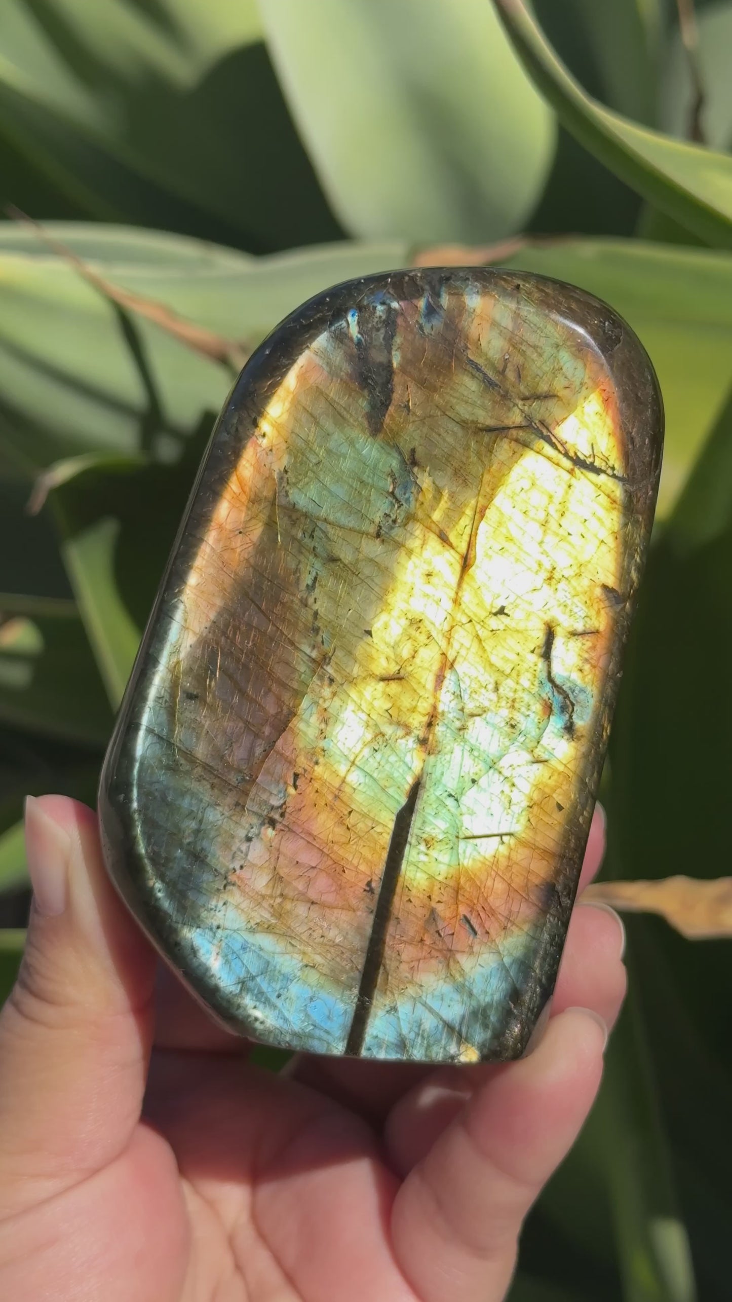 
                  
                    Load and play video in Gallery viewer, Labradorite Freeform
                  
                