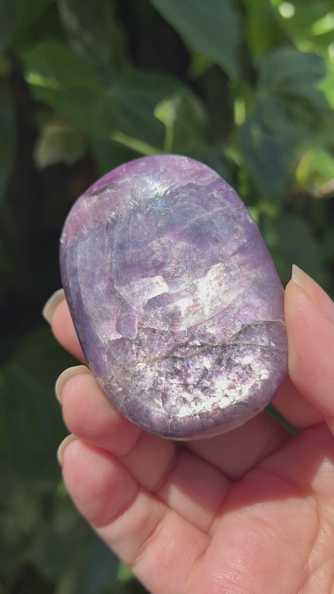 
                  
                    Load and play video in Gallery viewer, Gem Lepidolite Palm Stone
                  
                