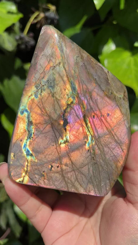 
                  
                    Load and play video in Gallery viewer, Pink Flame Labradorite Freeform
                  
                