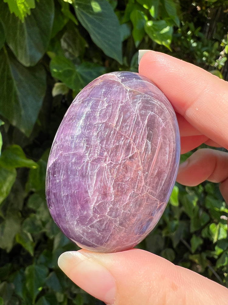 
                  
                    Gem Lepidolite Palm Stone
                  
                