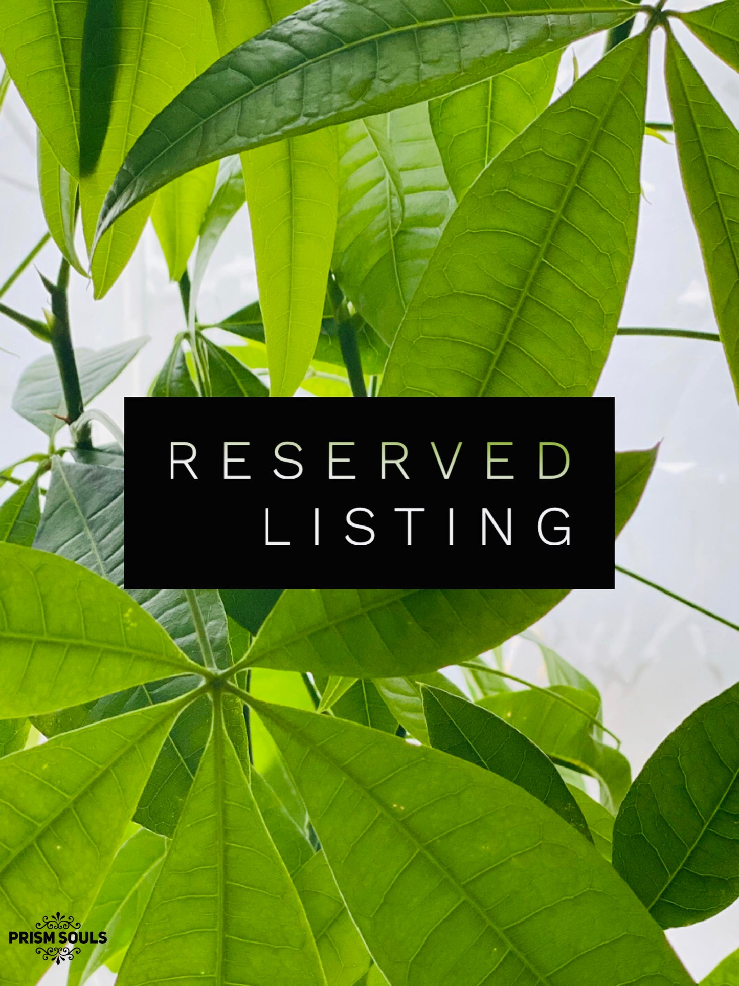 
                  
                    RESERVED LISTING - im_just_walkin_here
                  
                