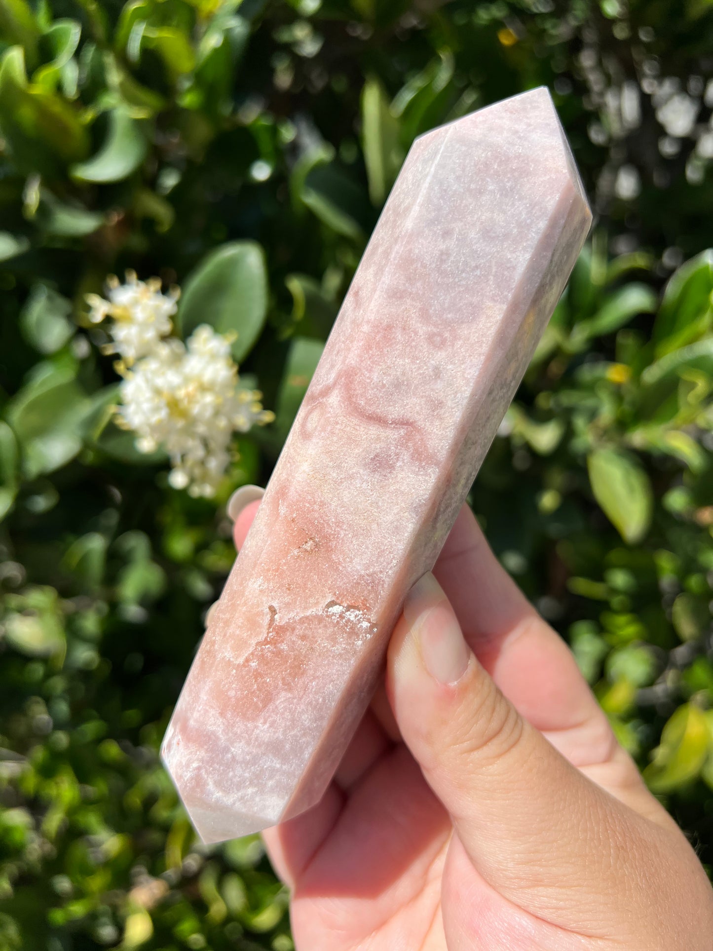 
                  
                    DT Pink Amethyst
                  
                