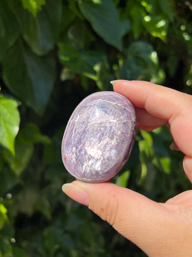 
                  
                    Gem Lepidolite Palm Stone
                  
                