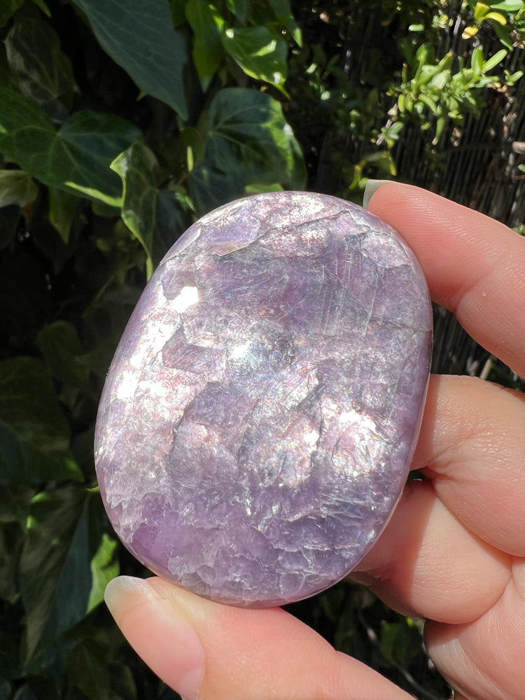 
                  
                    Gem Lepidolite Palm Stone
                  
                