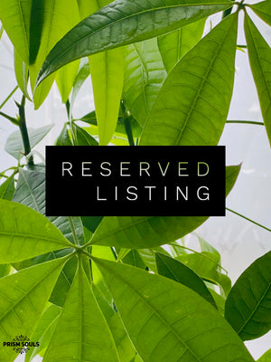 RESERVED LISTING - chrissylizzie9