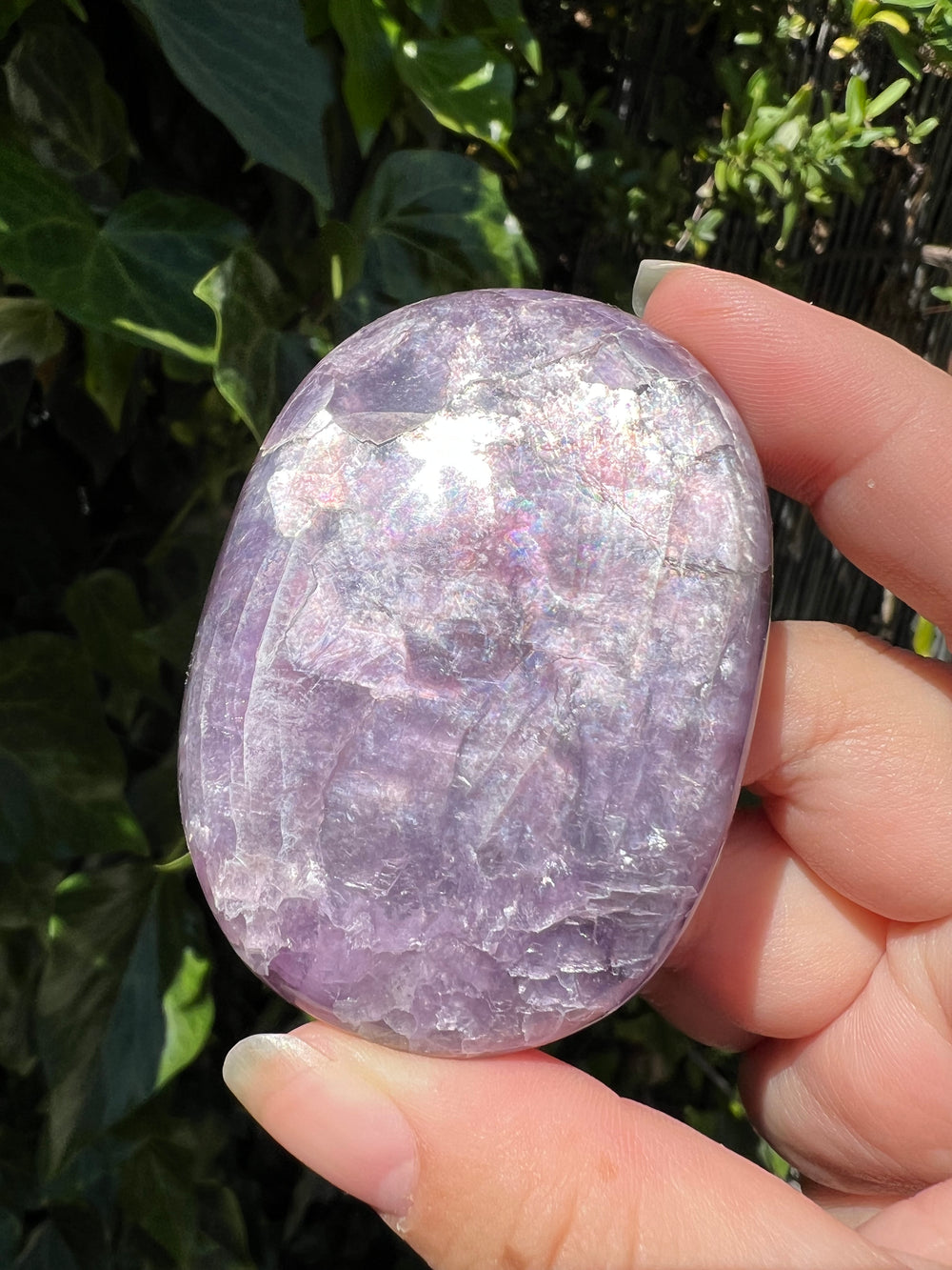 Gem Lepidolite Palm Stone